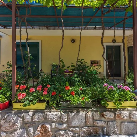 Manas Grizane-Belgrad